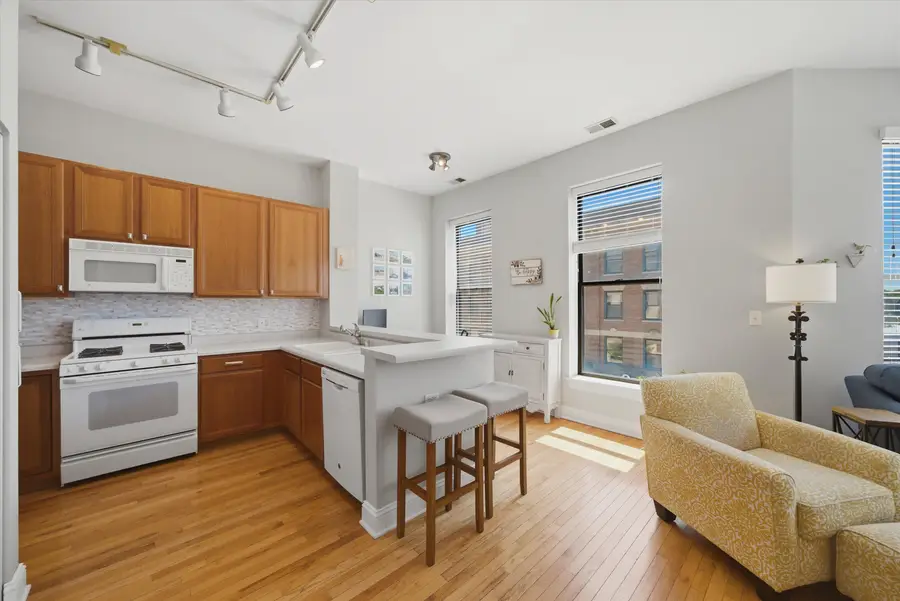 3175 N Lincoln Avenue #302, Chicago, IL 60657 - #2