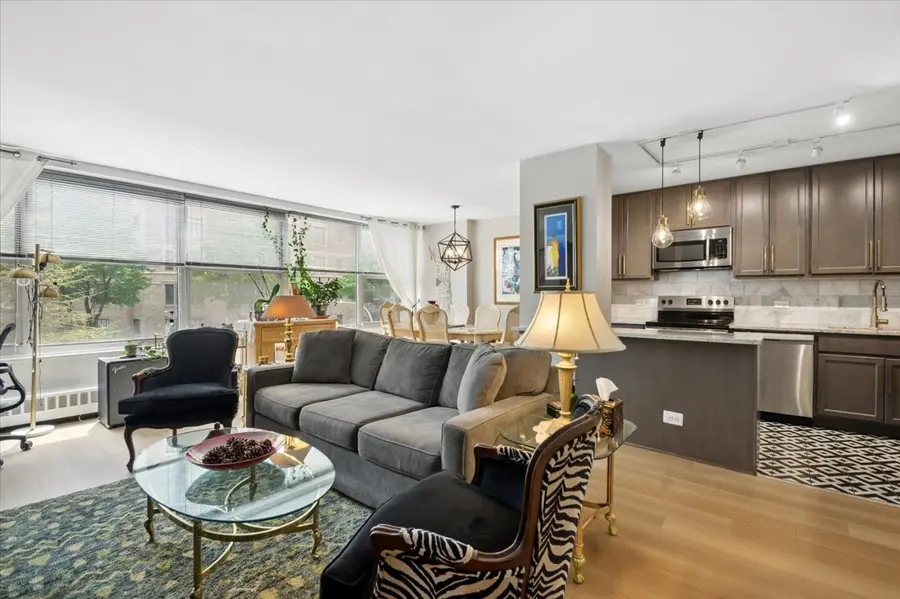 3900 N Lake Shore Drive #2B, Chicago, IL 60613 - #2