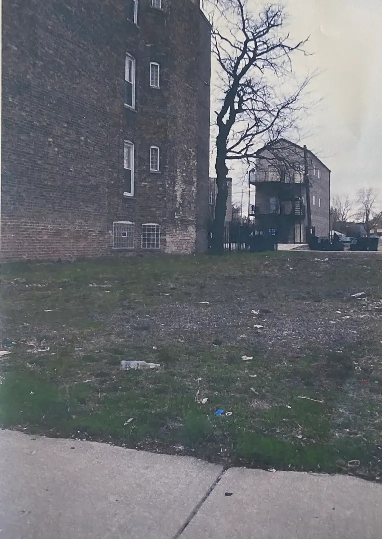 1104 S Richmond Street, Chicago, IL 60612 - #1