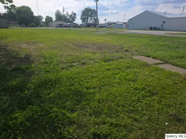 31 Randolph St, Carthage, IL 62321-1258