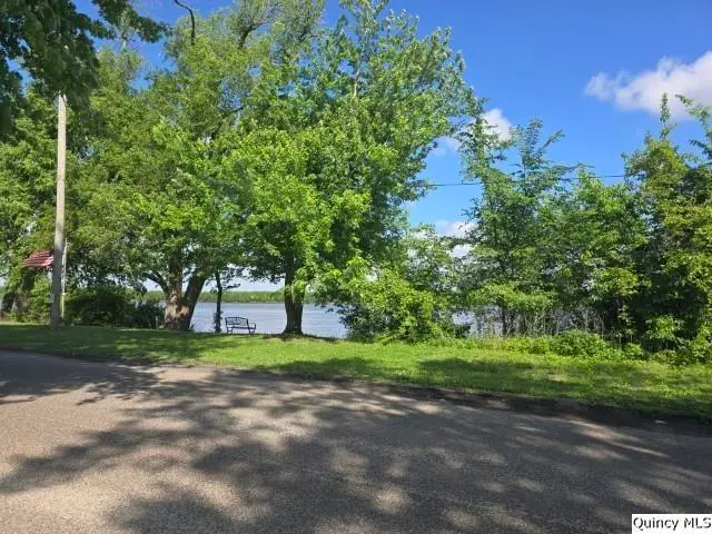 140 W 1st Street, Dallas City, IL 62330 - #2