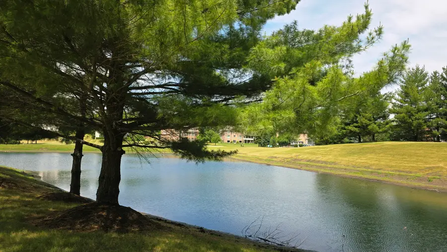 4205 Alex Drive, Crystal Lake, IL 60012 - #3