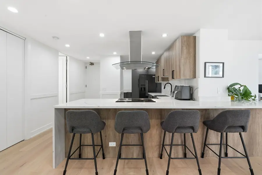 200 E Delaware Place #11A, Chicago, IL 60611 - #3