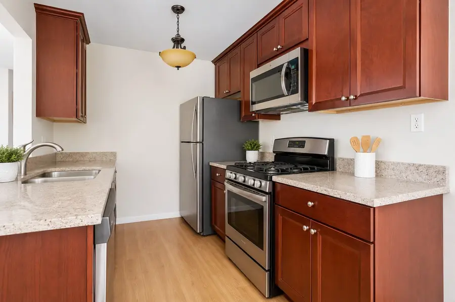717 Whitesail Drive #717, Schaumburg, IL 60194 - #2