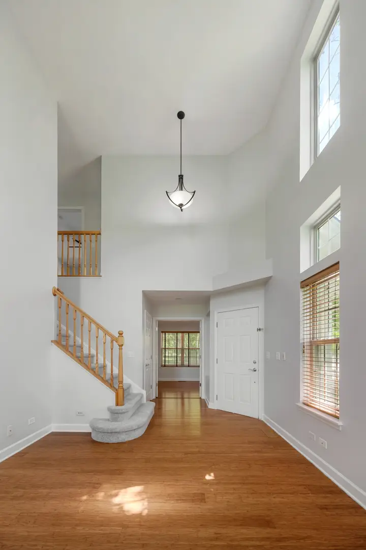 2910 Belle Lane #2910, Schaumburg, IL 60193 - #3