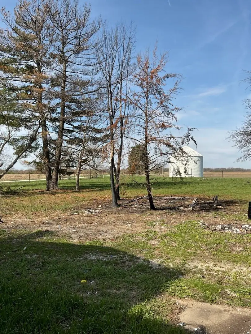 8809 E 3100 North Road, Potomac, IL 61865 - #2