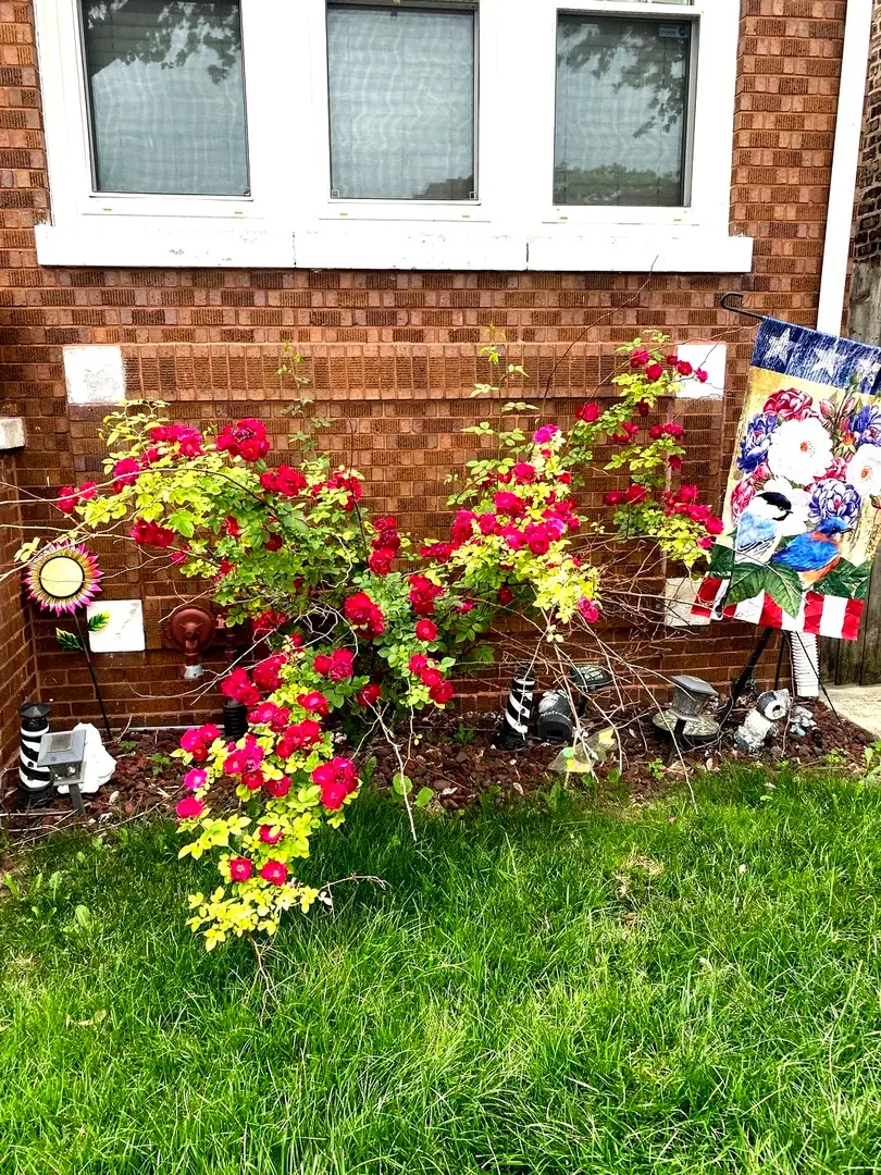 6433 S Talman Avenue, Chicago, IL 60629 - #2