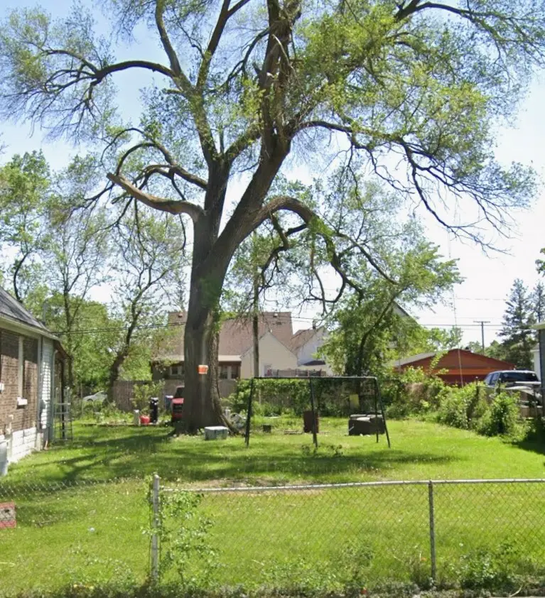 24 E 23rd Street, Chicago Heights, IL 60411 - #1