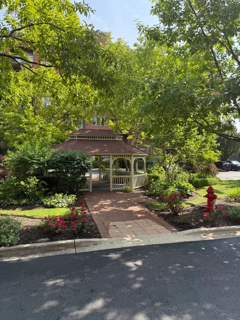 390 S Western Avenue #402, Des Plaines, IL 60016 - #3