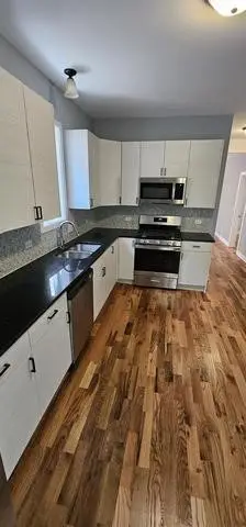 539 N Trumbull Avenue, Chicago, IL 60624 - #2
