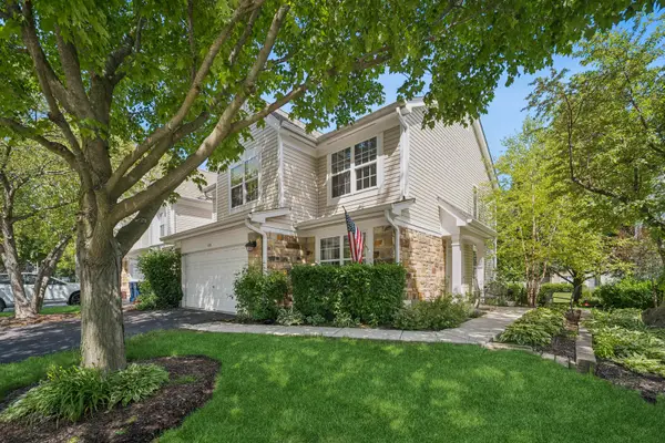 169 Crescent Lane, Schaumburg, IL 60193