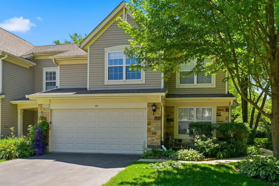 141 Crescent Lane #141, Schaumburg, IL 60193 - #2