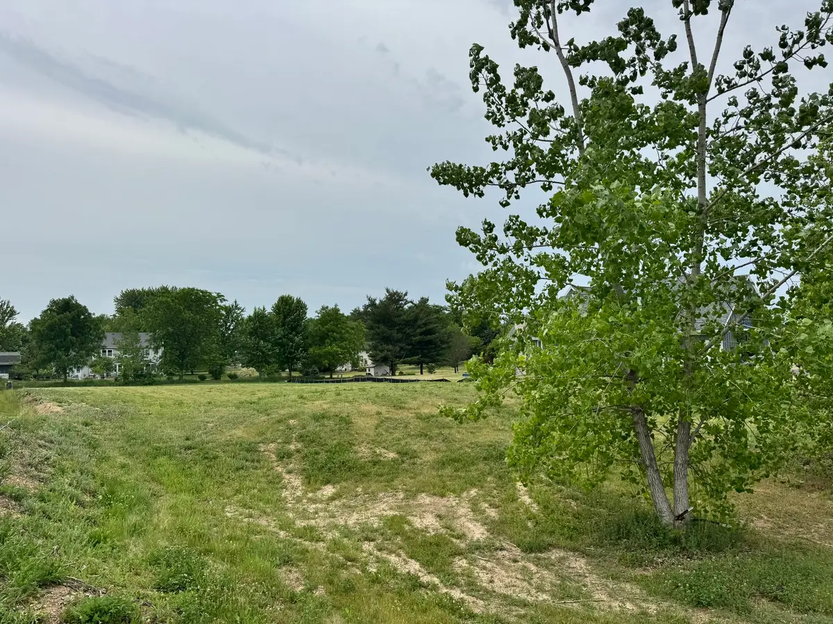 3813 Marigold Drive, Elgin, IL 60124 - #1