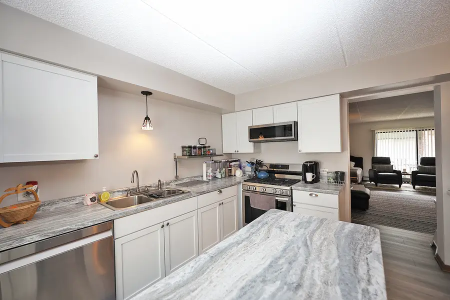 4946 Douglas Road #202, Downers Grove, IL 60515 - #2
