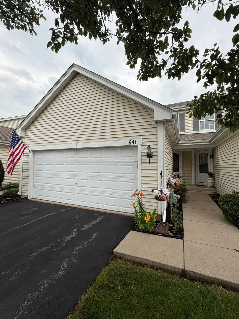 641 Chestnut Ridge, Minooka, IL 60447 - #2