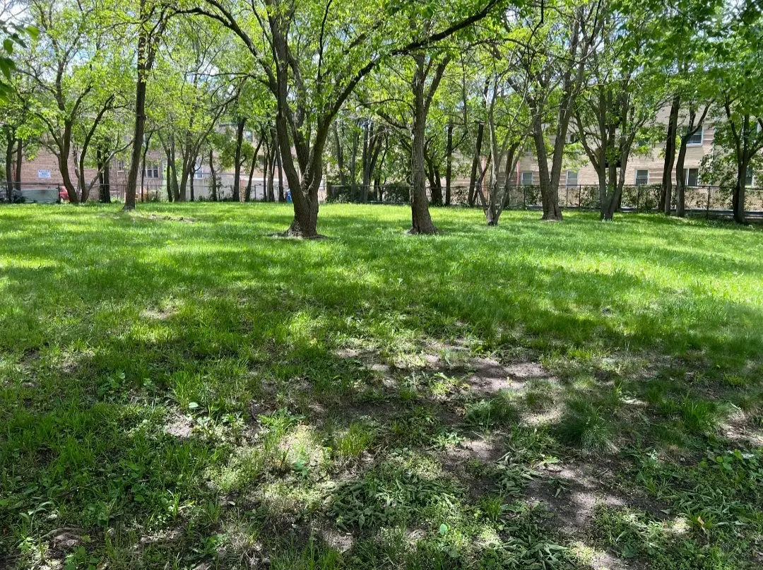 2121 E 72nd Street, Chicago, IL 60649 - #1