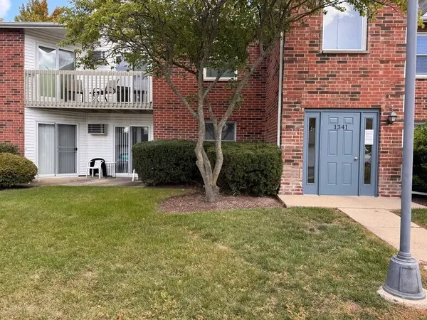 1341 Cunat Court #2C, Lake In The Hills, IL 60156
