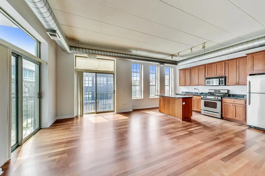 1919 S Michigan Avenue #302, Chicago, IL 60616 - #2