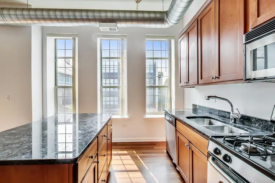 1919 S Michigan Avenue #302, Chicago, IL 60616 - #3