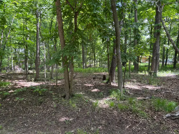 1101/1102 Jay Court, Varna, IL 61375
