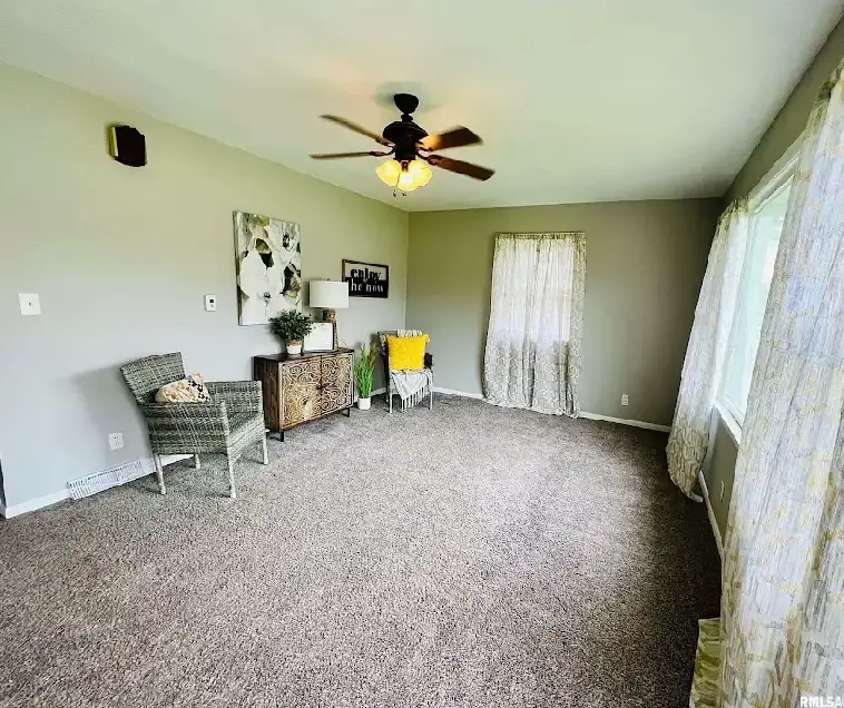 11206 22nd Street, Milan, IL 61264 - #3