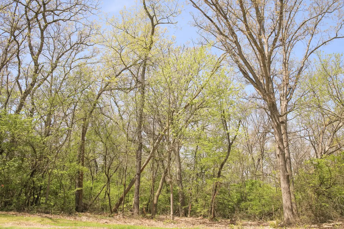 911 Echo (lot 5) Trail, Marengo, IL 60152 - #1