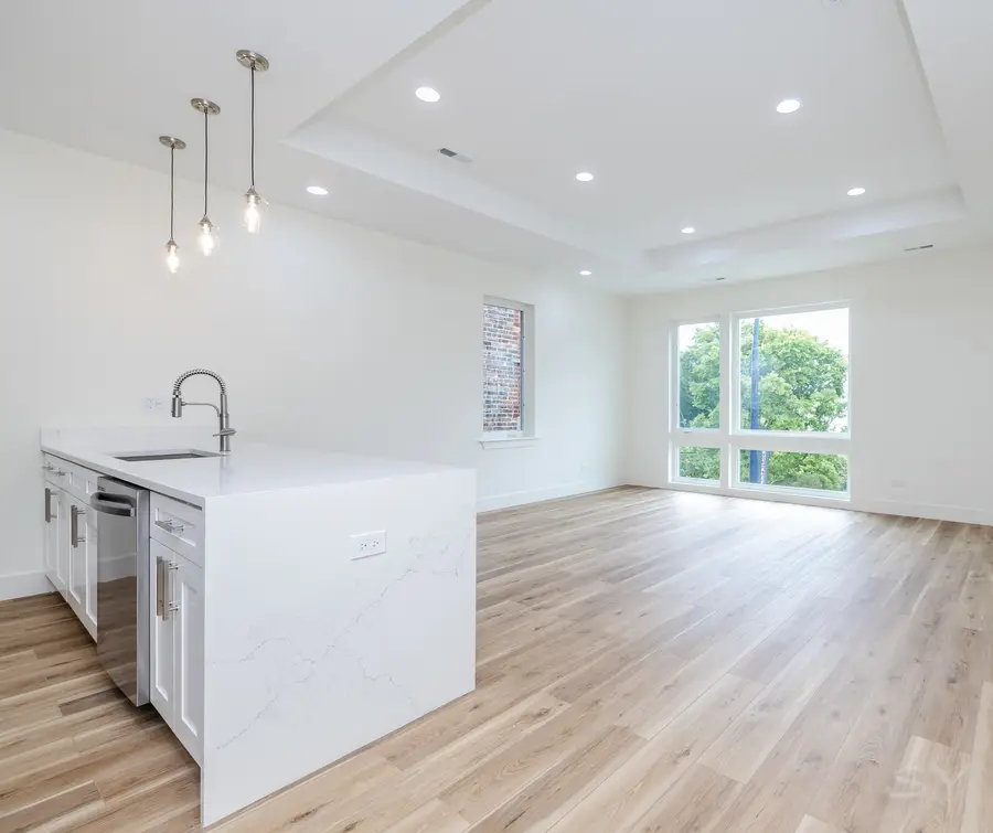 1331 S Fairfield Avenue, Chicago, IL 60608 - #3