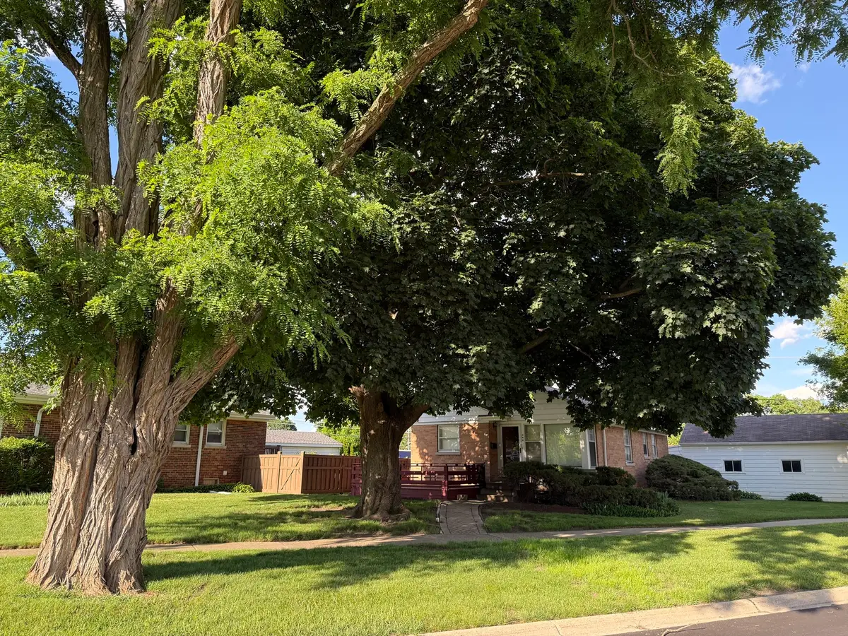 344 E Parallel Street, Palatine, IL 60067 - #1