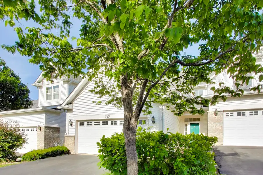 343 Hickory Lane, South Elgin, IL 60177 - #2