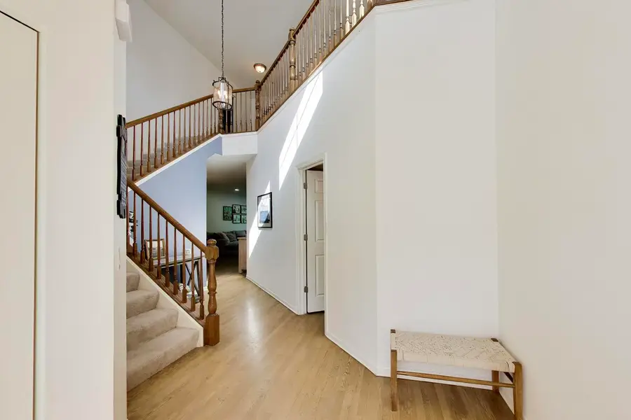 343 Hickory Lane, South Elgin, IL 60177 - #3
