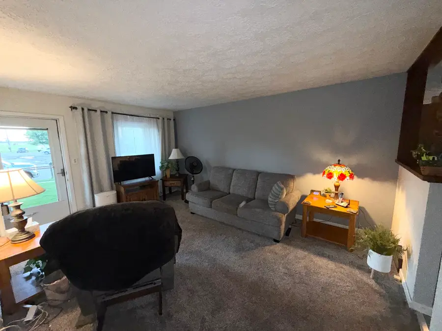 353 Irene Avenue, Rochelle, IL 61068 - #3