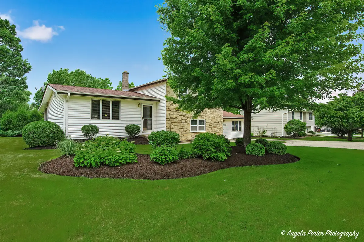 7509 Villa Vista Court, Spring Grove, IL 60081 - #1