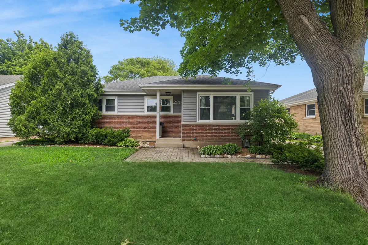 239 Brice Avenue, Mundelein, IL 60060 - #1