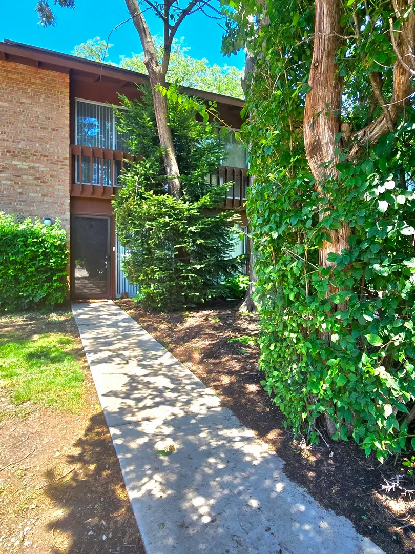 5921 Meadow Drive #156-F, Lisle, IL 60532 - #1