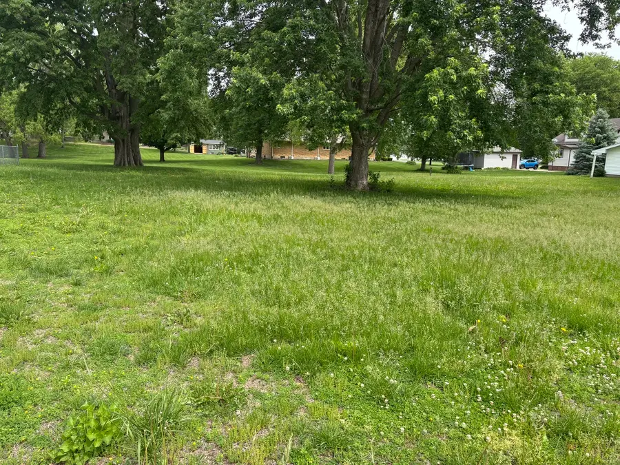 301 S 2nd Street, Walnut, IL 61376 - #3