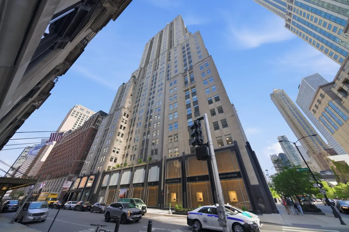 159 E Walton Place #22A, Chicago, IL 60611 - #1