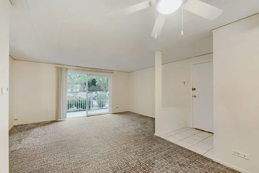 1102 Westover Lane #1A, Schaumburg, IL 60193 - #3