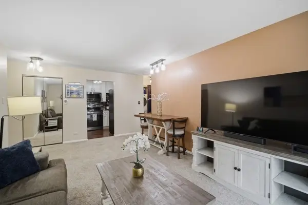 607 W Central Road #1A, Mount Prospect, IL 60056 - #2