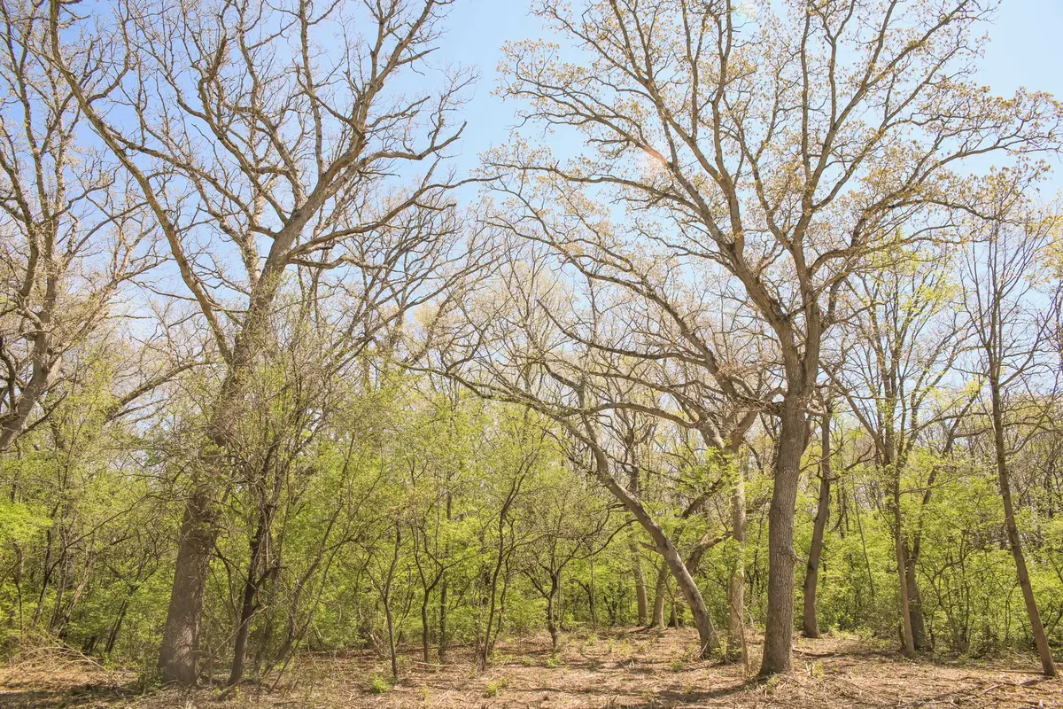 802 Echo (lot 23) Trail, Marengo, IL 60152 - #1