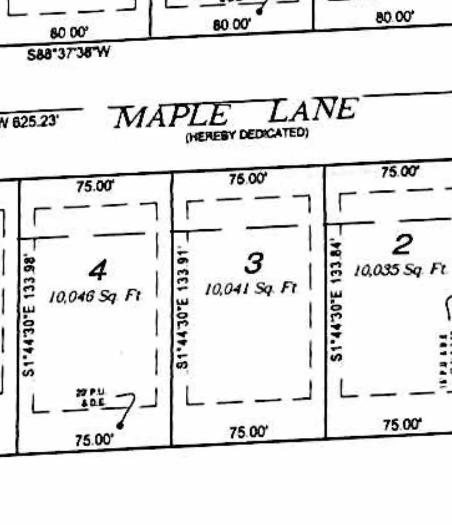 006 Maple Lane, Manhattan, IL 60442 - #2