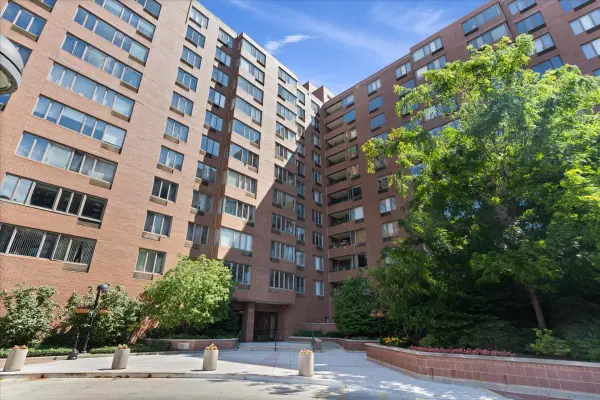 801 S Plymouth Court #716, Chicago, IL 60605