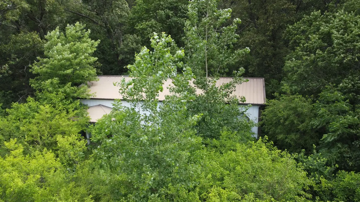 2658 N 2500 East Road, Donovan, IL 60931 - #1