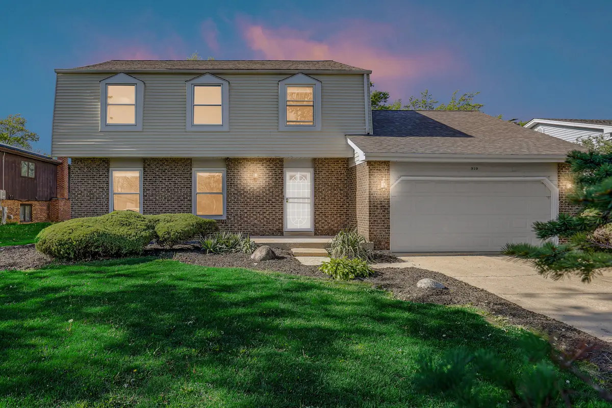 939 Honey Lane, Crete, IL 60417 - #1