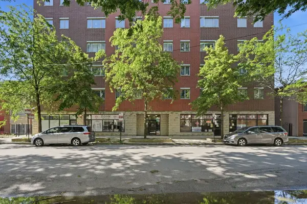 313 W 23rd Place #403, Chicago, IL 60616