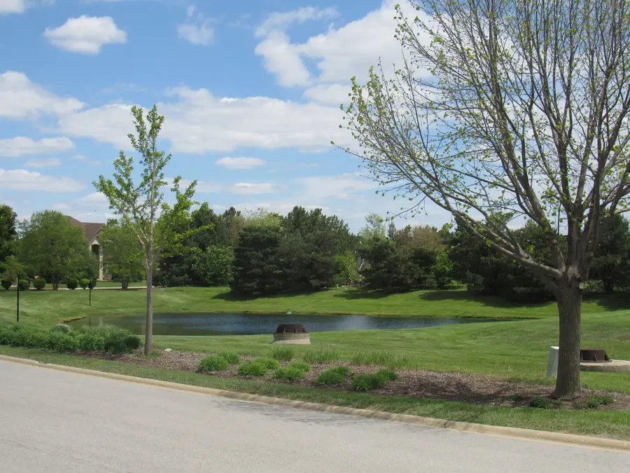 22276 Elise Boulevard, Frankfort, IL 60423 - #2