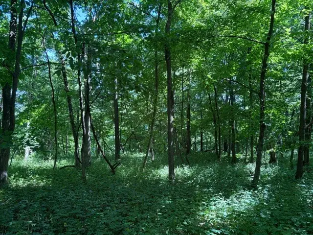 15 Navajo Court, Putnam, IL 61560 - #1