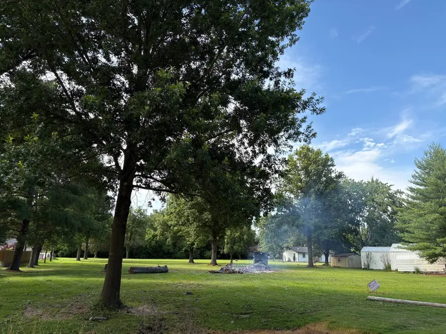 Lot 5 Green Street Road, Centralia, IL 62801 - #2