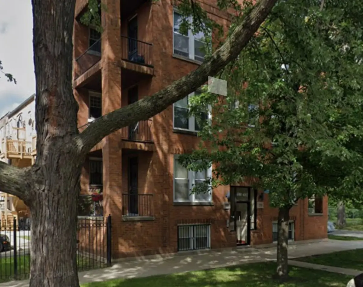 6800 S Dante Avenue #3, Chicago, IL 60637 - #1