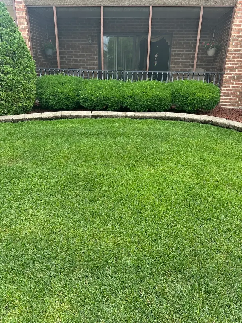 16743 Paxton Avenue #1N, Tinley Park, IL 60477 - #3