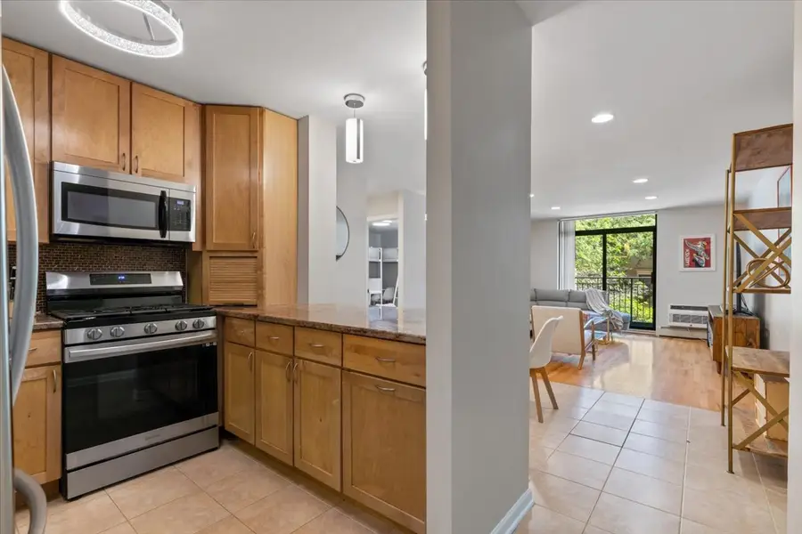 3900 N Pine Grove Avenue #209, Chicago, IL 60613 - #2